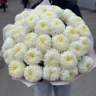 13 белых, фиолетовых и сиреневых хризантем | доставка по Москве и области