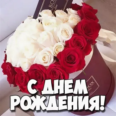Фонд науки и образования - Поздравляем Сулейманова Джабраила Нохаевича с  Днем рождения!