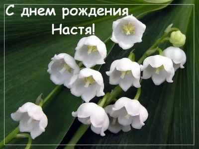 С Днем рождения, Настя! Какие цветы и подарки понравятся Анастасии?