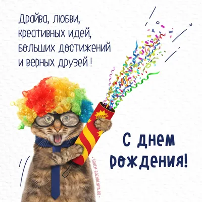 Открытки С днем рождения мужчине 🎁 - скачать | Позитивные цитаты, С днем  рождения брат, Цитаты