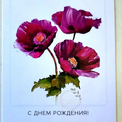 Коробочка тубус С Днем Рождения | Доставка круглосуточно | flower25.ru