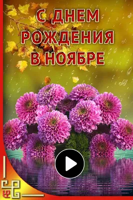 Поздравление с днем рождения в НОЯБРЕ | С днем рождения, День рождения,  Рождение