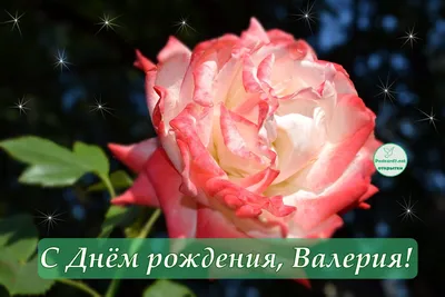 Астродент - 🌟Поздравляем с днём рождения основателя нашей сети  стоматологий Астродент – Валерия Валерьевича Богочарова!🌟 ⠀⠀ Желаем  крепкого здоровья, реализации всех идей! Пусть Ваш жизненный путь освещают  яркие лучи счастья и успеха! | Facebook