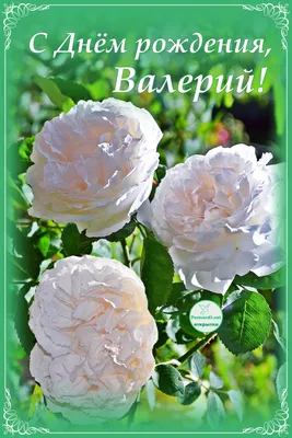 Поздравить с днём рождения прикольно и своими словами Валерию - С любовью,  Mine-Chips.ru
