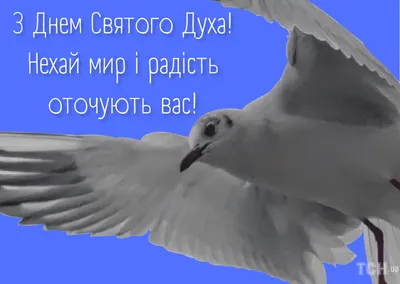 День Святого Духа 2022 в Украине – что нельзя делать 13 июня – картинки,  поздравления | OBOZ.UA