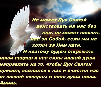 Какой сегодня праздник – 13 июня по народному и церковному календарю: День святого  духа