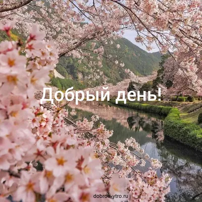 ДОБРЫЙ 🌸🍃🌺🌿🌸 ДЕНЬ ДРУЗЬЯ!