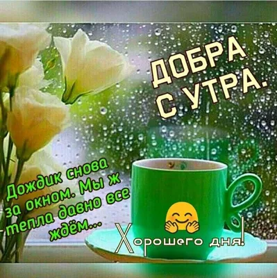 С добрым утром! Хорошего дня!☘️🌞🌼 | Счастливые картинки, Поздравительные  открытки, Дождливое утро