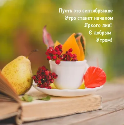 Друзья, с добрым, осенним утром вас!😊Отличного самочувствия вам,💖бу... |  TikTok