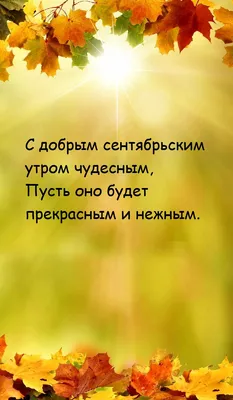 С добрым утром! С добрым сентябрьским утром друзья! | Instagram