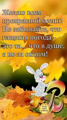 С добрым осенним утром❤️🍁🍂🍁#сдобрымутром #доброе_утро | TikTok