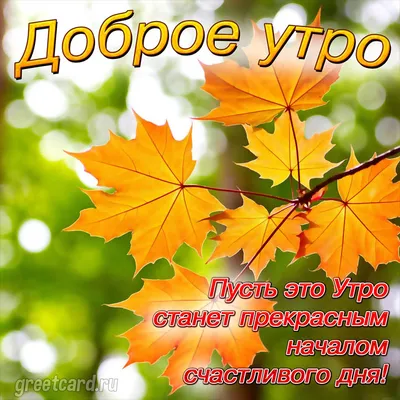 Доброе утро! Несколько рецептов кофе