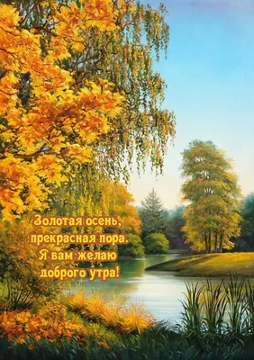 Formybaby.ru - С ДОБРЫМ ОСЕННИМ УТРОМ! Приятно осенью... | Facebook
