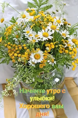 Pin by Каролина on Доброе утро | Flower arrangements, Flowers bouquet,  Beautiful flowers