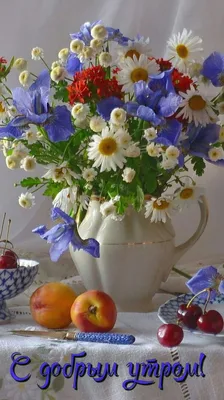 Пин от пользователя Yana Tuz на доске Ж Е Л А Ю Т Е Б Е . . . | Цветки  орхидеи, Ромашки, Красивые цветы