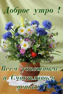 Пин от пользователя Светлана Попова на доске Доброе утро в 2023 г | Полевые  цветы, Цветы, Поздравительные открытки