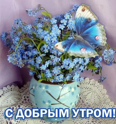 Букет из полевых ромашек на день рождения — Скачайте на Davno.ru