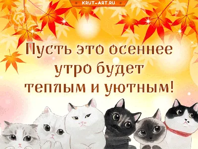 Доброе утро! #Доброеутро #Кот #Котейка #dzen.ru/cherrrygarden  #cherrrygarden | Instagram