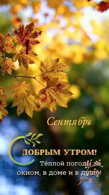 С добрым сентябрьским утром, осенние открытки и пожелания! Открытка с  большой медведицей из детского... | Страница 1