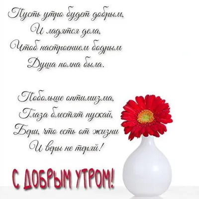 Пожелания хорошего дня в картинках, своими словами, в стихах, в смс и  христианские пожелания доброго дня — Украина