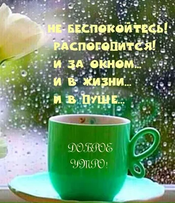 Лучшие идеи (220) доски «Дождливое утро» | дождливое утро, доброе утро,  открытки