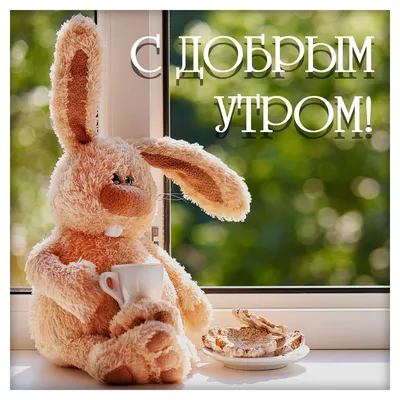 С добрым утром мой зайчик! #рек #реки #реки #зайчик | TikTok