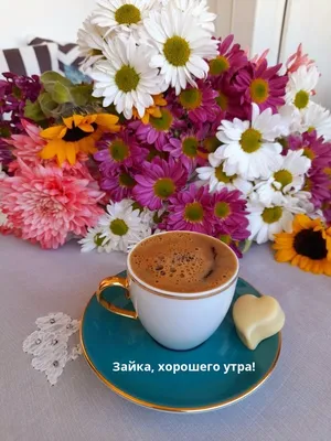 Доброе утро ☕, нейросеть, пью кофе …» — создано в Шедевруме