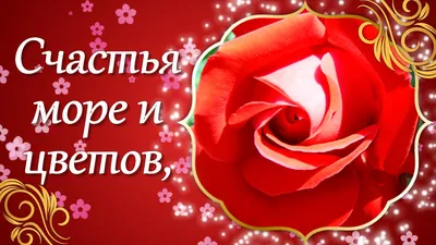 Дорогие друзья! 🥰👍🤝 🥰Искренне благодарим всех за теплые 🥰поздравления  и добрые пожелания, 🥰 за теплые слова.. | ВКонтакте