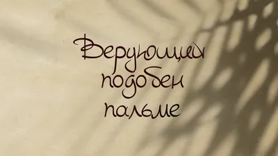 Кладовщик из Казани написал портрет Хабиба Нурмагомедова и его отца хадисами  и сурами из Корана | Asia-Plus Новости Таджикистана | Дзен