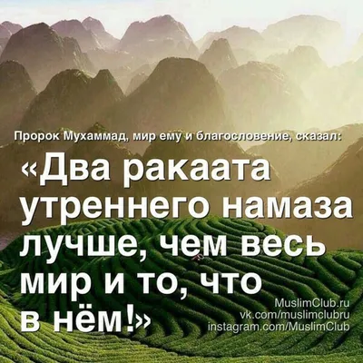 📗 Тетрадь общая «Корабль» 📗 Тетрадь с хадисами и аятами из Священного  Корана 👼Возраст 3+ ✨Объем: 48 стр. ✨Цена: 82 р. #тетрадь_УЛ | Instagram