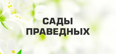 Магнитик с хадисом \"Богатство - это не обилие имущества, однако...(кул -  шариф) размер 10х7 купить в интернет-магазине MUSMART