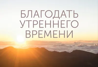 Тот не из нас» 40 предостережений Посланника Аллаха, да благословит его  Аллах и приветствует