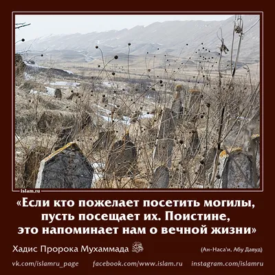 Человек) который станет приписывать мне то, чего я не говорил, непременно  займёт своё место в огне! | Cards against humanity, Human, Islam