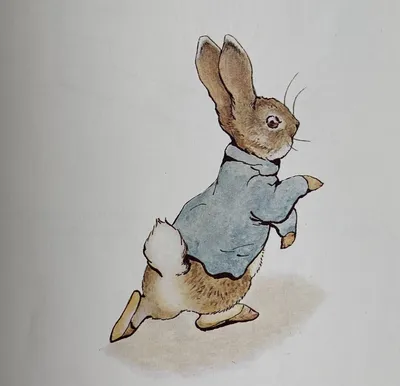 Calaméo - «Заяц и кролики» [фрагмент]