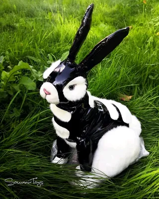 Кролик (заяц) в натуральную величину