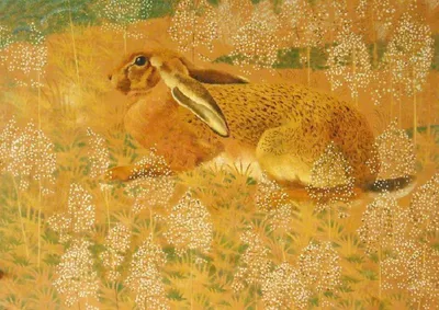 Анна Вторых ▽illustrator✳️ on Instagram: “Зайки #заяц #кролик #rabbit #hare  #иллюстрация #иллюстрат… | Искусство рисования кроликов, Милые рисунки,  Рисунки кроликов