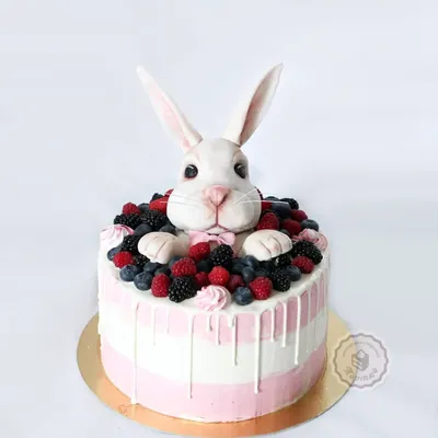 Кролик заяц bunny rabbit | Кролик, Заяц, Эстетика