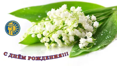 букеты цветов фото с днем рождения С днём варенья! . - Страница 129  #yandeximages | Fiori per matrimoni, Bellissimi fiori, Composizioni floreali