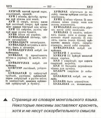 Савченко за 20 секунд матом описала ситуацию на Украине — РБК