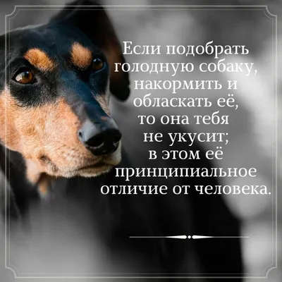 life_andmeaning_ #live #love #цитаты #фразы #книги #мудрость | Instagram