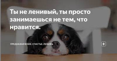 Позитив - @borscha | Facebook