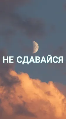 МОТИВАЦИОННЫЕ ОБОИ НА ТЕЛЕФОН НЕ СДАВАЙСЯ | Цитаты, Мотивирующие цитаты,  Новые цитаты