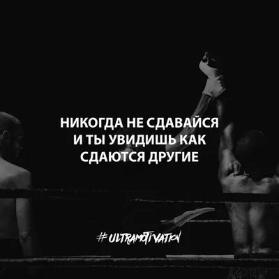 Коллекционируй цитаты, которые тебя вдохновляют. | Аникуан Алфер | Дзен