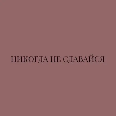 Прикольная футболка с надписью Никогда не сдавайся 56 купить недорого в  интернет-магазине