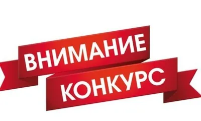 Воронежский художник обратил внимание на булыжную мостовую надписью «Не  докапывайся!»