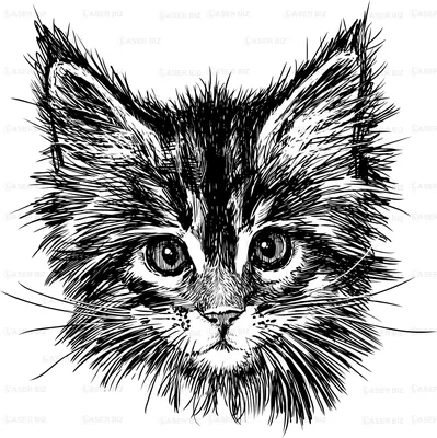 HUACAN Картины кошек и животных нарисованы в цифровом виде на холсте  Взрослые Нарисованные маслом костюмы DIY Домашние украшения | AliExpress