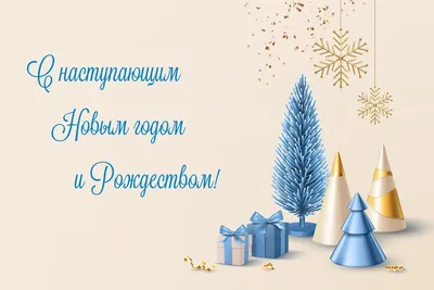 С Новым годом и Рождеством! | Газета «Сельчанка»
