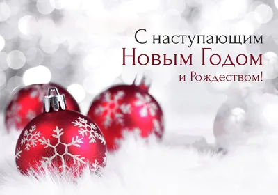 Поздравление с Новым 2019 Годом и Рождеством Христовым! » Официальный сайт  ГУП РК Крымавтотранс