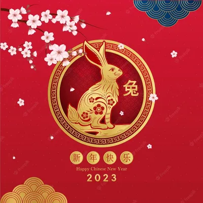 С Новым годом по Китайскому календарю! Пусть год тигра принесет достаток,  здоровье и счастье в каждый дом. Пусть 2022 год станет годом… | Instagram