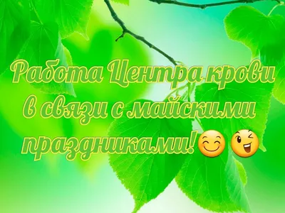 Глава Первомайского района поздравил земляков с Праздником Весны и Труда -  Причаганье